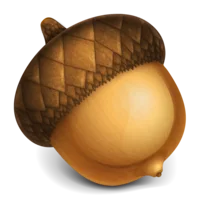 Acorn v8.3.2,轻量级图片处理工具