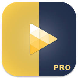 OmniPlayer: MKV Video Player 破解版2.1.15