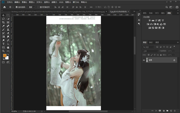 ps2019破解版下载