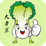 大白菜超级U盘启动盘制作工具 v.6.0_2509,u盘启动盘制作工具