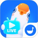 鹅直播 v5.2.3,公共领域直播工具