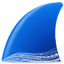 Wireshark 官方版4.6.8